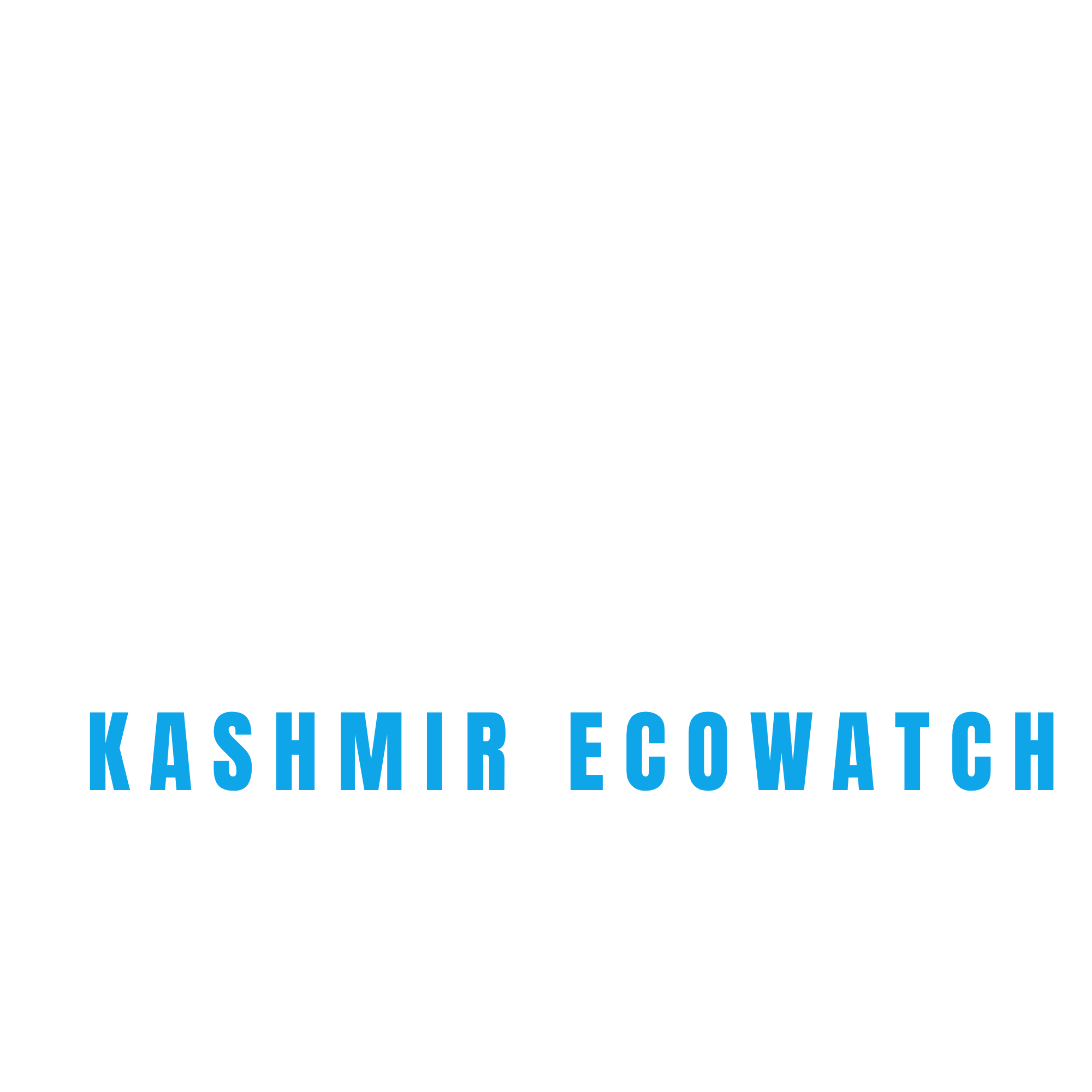 KEW Logo